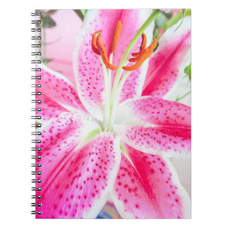 Cuaderno Stargazer Lily Flower