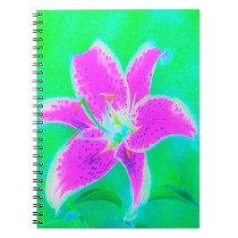 Cuaderno Stargazer rosa caliente Lily sobre Turquesa y Verd