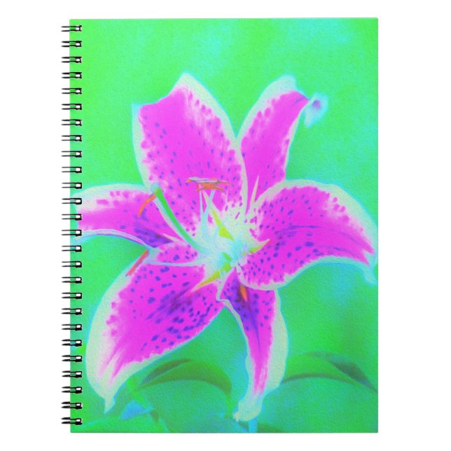 Cuaderno Stargazer rosa caliente Lily sobre Turquesa y Verd (Frente)