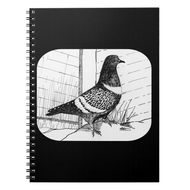 Cuaderno Starling Pigeon 1973 (Frente)
