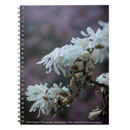 Cuaderno Starry Magnolia 5780
