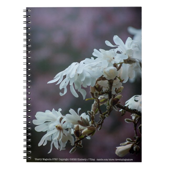 Cuaderno Starry Magnolia 5780 (Frente)