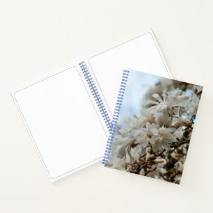 Cuaderno Starry Magnolia 5781