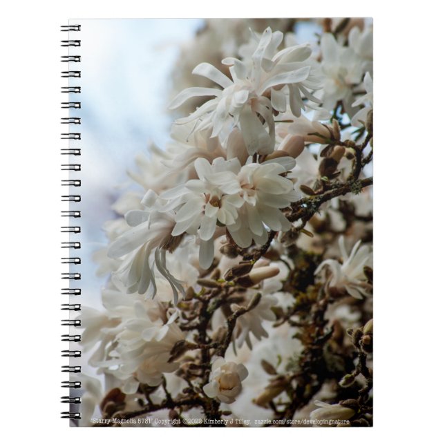 Cuaderno Starry Magnolia 5781 (Frente)