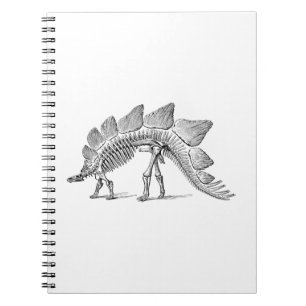 Cuaderno Stegosaurus Dinosaur Skeleton Fossil