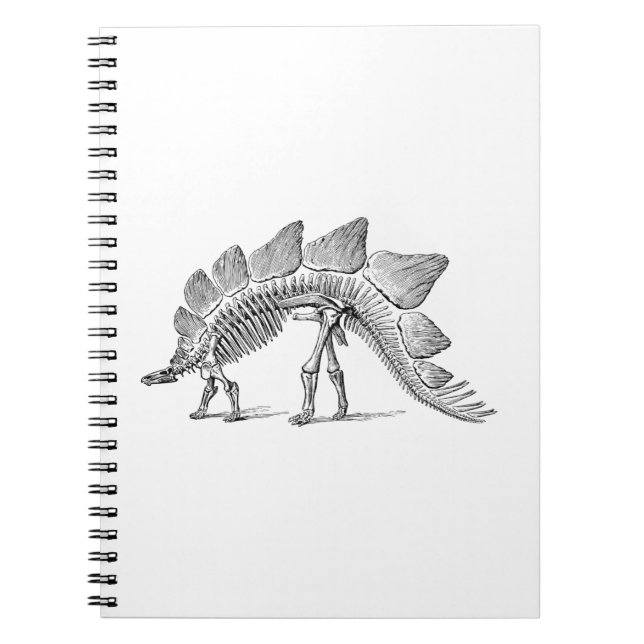 Cuaderno Stegosaurus Dinosaur Skeleton Fossil (Frente)