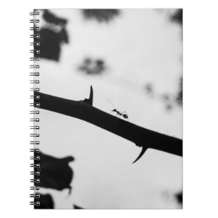 Cuaderno Sting
