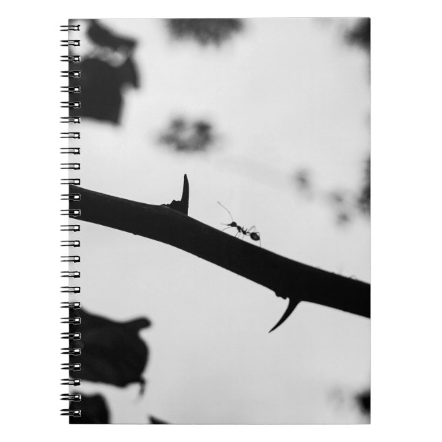 Cuaderno Sting (Frente)