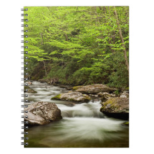 Cuaderno Straight Fork Fluye a Través del Bosque
