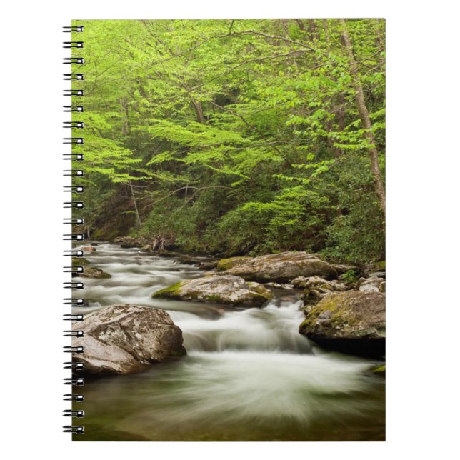 Cuaderno Straight Fork Fluye a Través del Bosque (Frente)