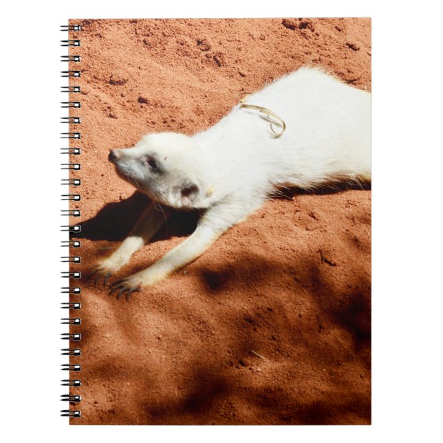 Cuaderno Stretching de Meerkat blanco, portátil (Frente)