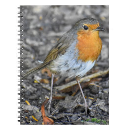 Cuaderno Stunning Robin
