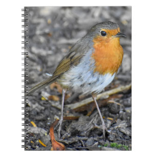 Cuaderno Stunning Robin