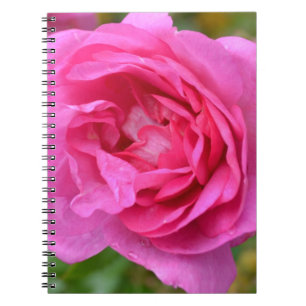 Cuaderno subió noviembre rosado