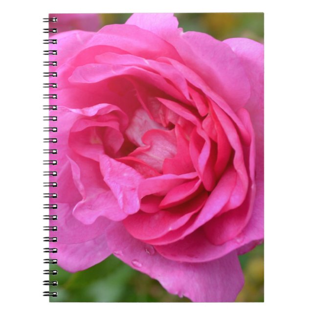 Cuaderno subió noviembre rosado (Frente)