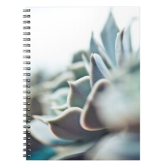 Cuaderno Succulent de Echeveria (Frente)