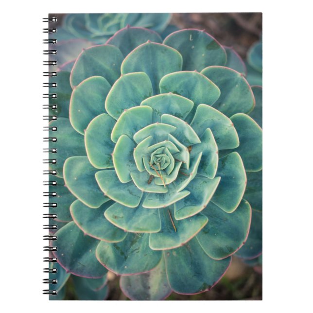Cuaderno Succulent del primer (Frente)