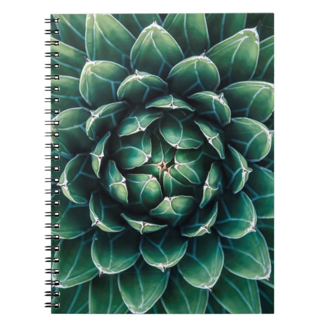 Cuaderno Succulent verde y blanco (Frente)