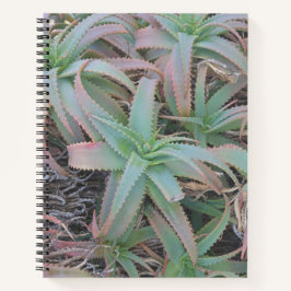 Cuaderno suculentas de Nevada    