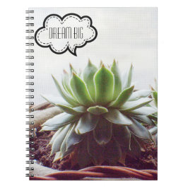 Cuaderno Suculento Sueño Aeonium Gran Cita