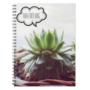 Cuaderno Suculento Sueño Aeonium Gran Cita