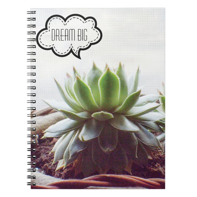 Cuaderno Suculento Sueño Aeonium Gran Cita (Frente)