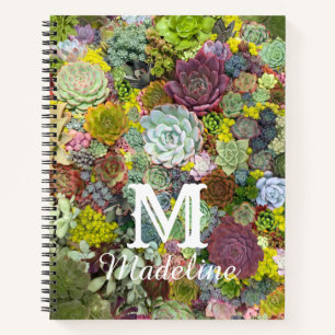Cuaderno Suculentos paisajes coloridos