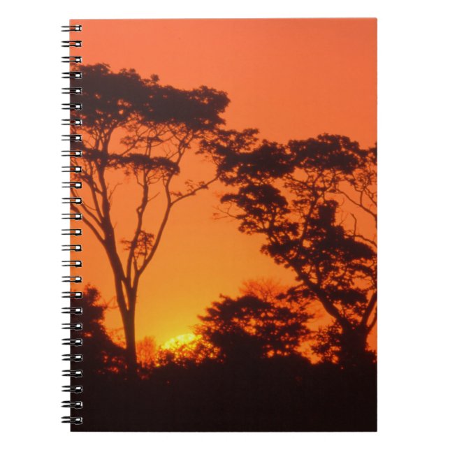 Cuaderno Sudáfrica.  Atardecer africano. (Frente)