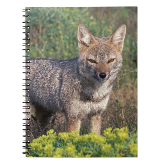 Cuaderno Sudamérica, Chile, Parque Nacional Torres del Pain (Frente)