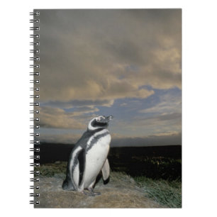Cuaderno Sudamérica, Chile, Patagonia, Magallanes,