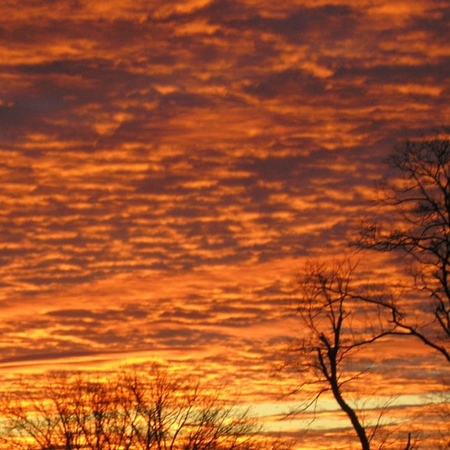 Cuaderno Sueño vespertino (Subido por el creador)