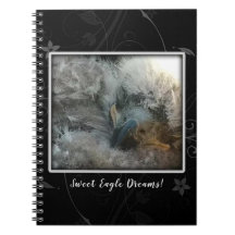 Sueños de águila dulce