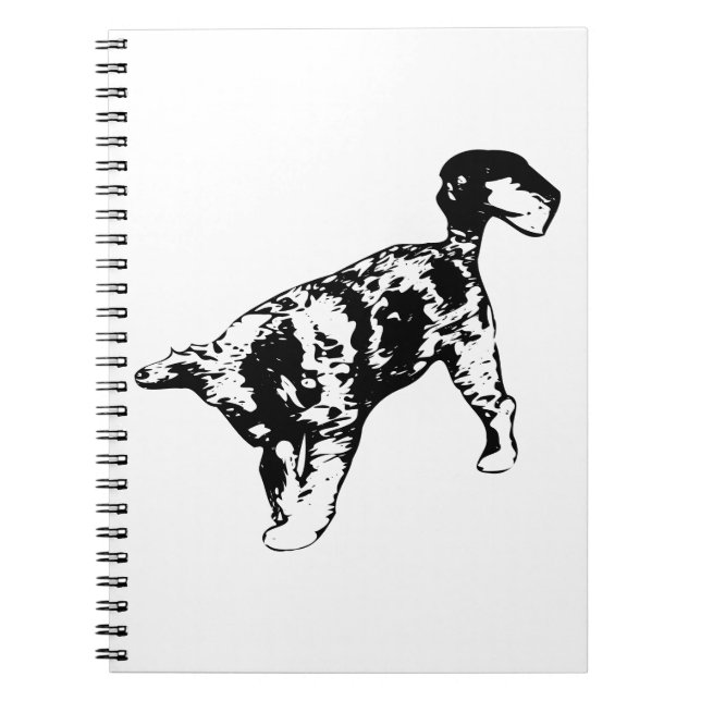 Cuaderno Sueños Rizados Para Días Creativos (Frente)