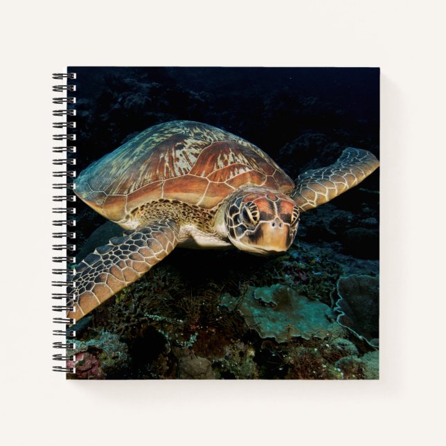 Cuaderno Sulawesi | Tortuga Verde del Mar (Anverso)