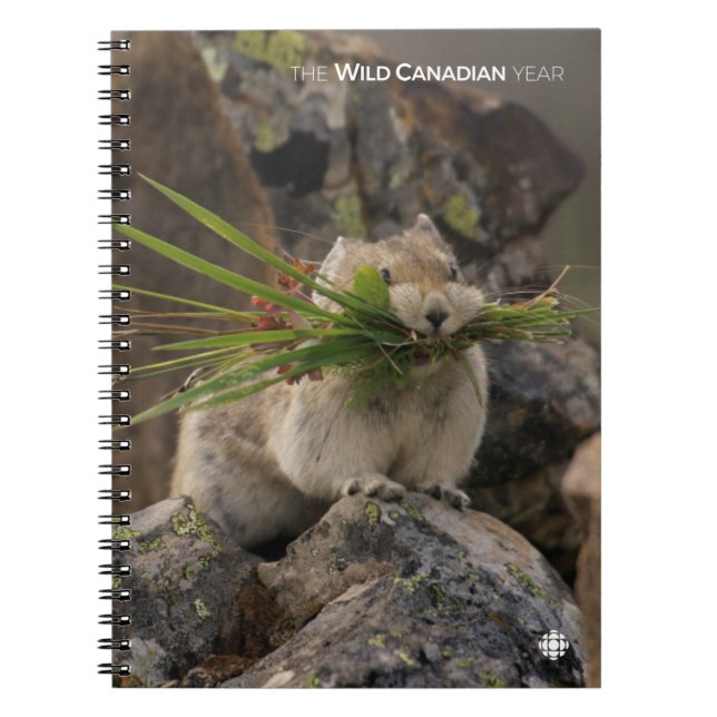 Cuaderno Summer - American Pica (Frente)