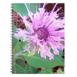Cuaderno SummerFlower.jpg