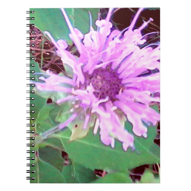 Cuaderno SummerFlower.jpg (Frente)