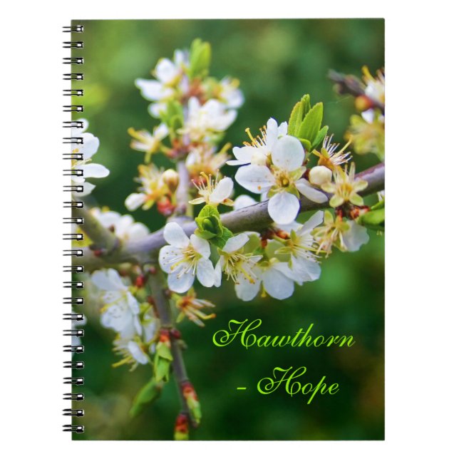 Cuaderno Sun-Dappled Spring Hawthorn (Frente)