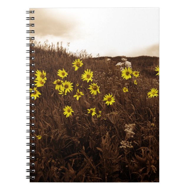 Cuaderno Sunflower (Frente)