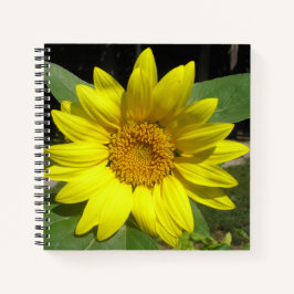 Cuaderno Sunflower