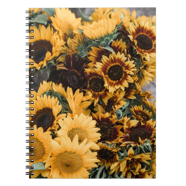 CUADERNO SUNFLOWER (Frente)