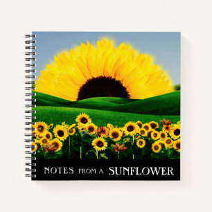 CUADERNO SUNFLOWER HILL