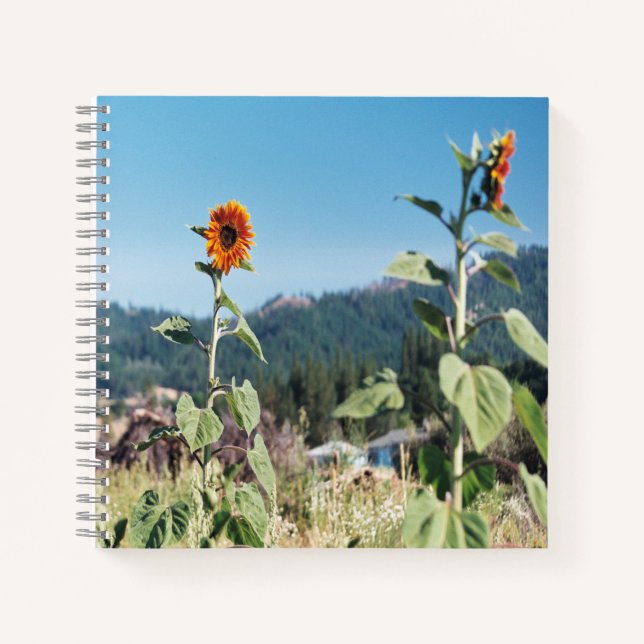 Cuaderno Sunflowers de verano...... (Anverso)