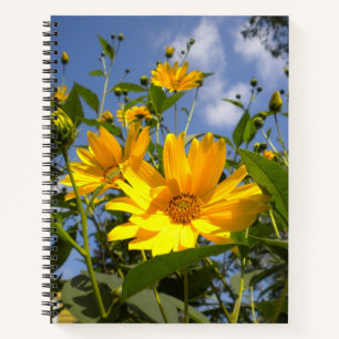 Cuaderno Sunflowers N Canvas envueltas con cielo