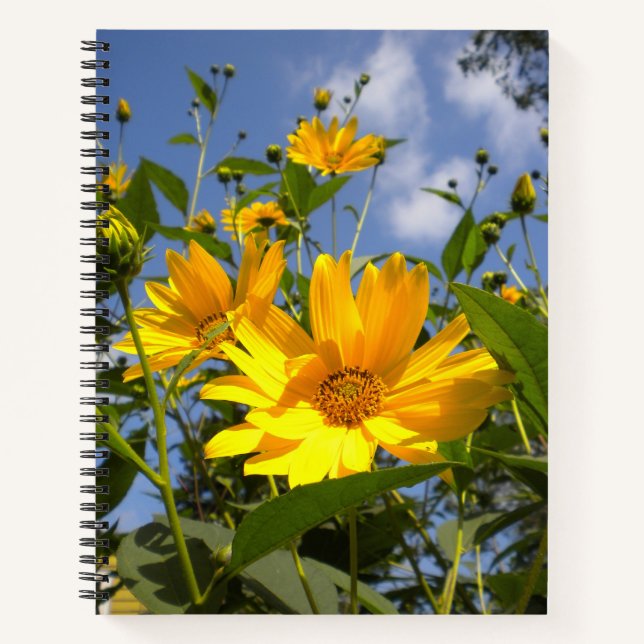 Cuaderno Sunflowers N Canvas envueltas con cielo (Anverso)