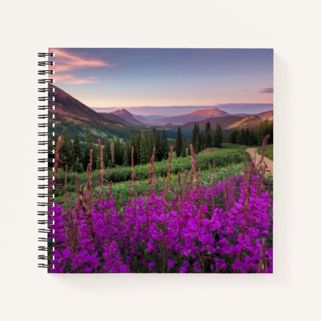 Cuaderno Sunrise silvestre | Crested Butte, Colorado (Anverso)