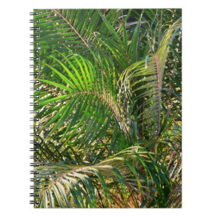 Cuaderno Sunset Lit Palm Fronds Tropical