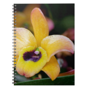 Cuaderno Sunset Orchid