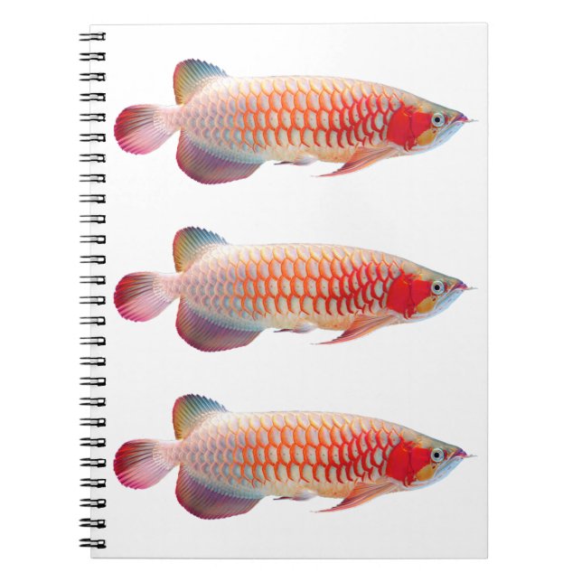 Cuaderno “Super Red Arowana”のスプリングノート (Frente)