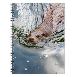 CUADERNO SUPERMERCADO DE SELLO CUTIDO